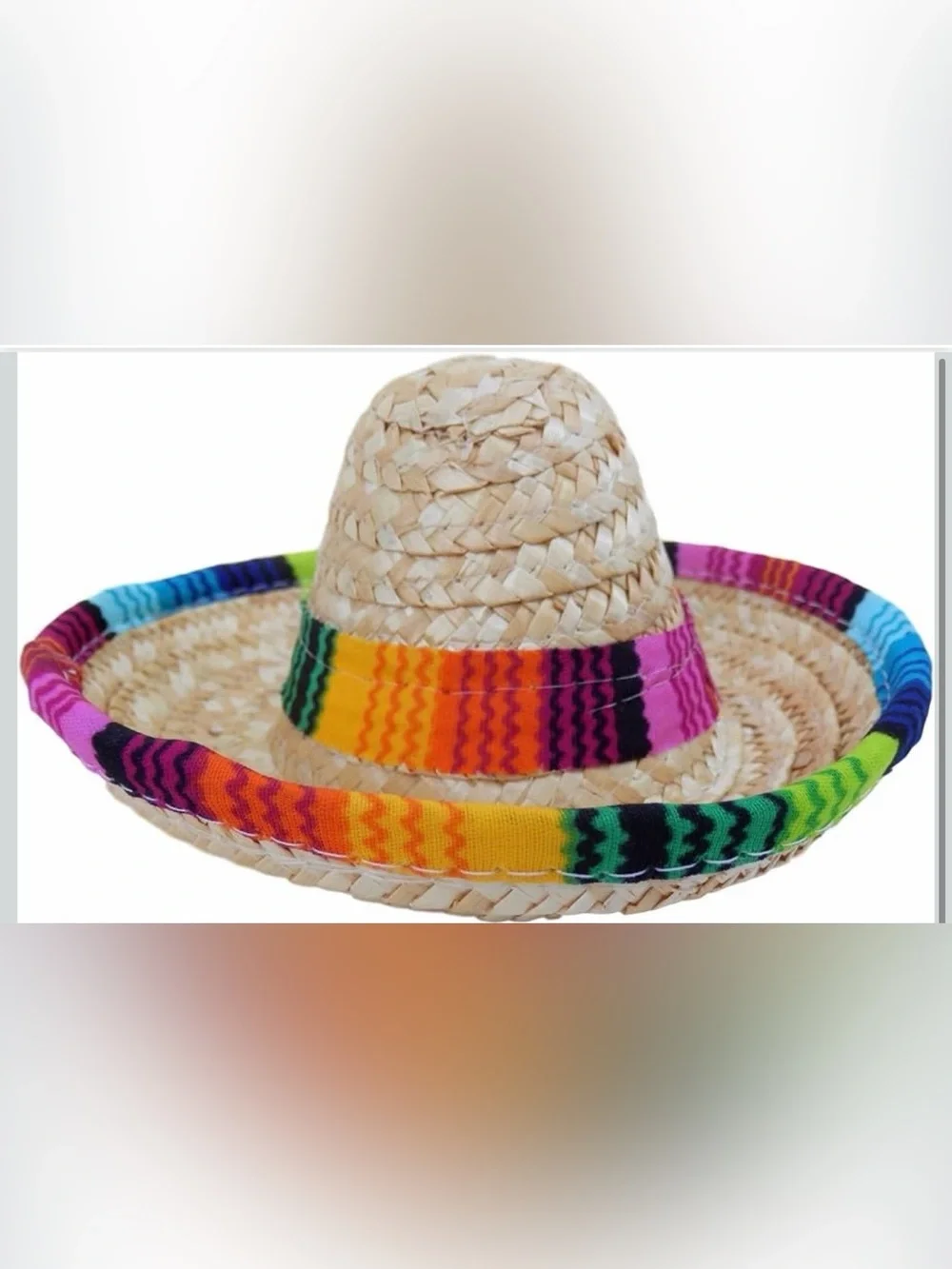 League Dog Sombrero Hat - Like New Excellent Condition